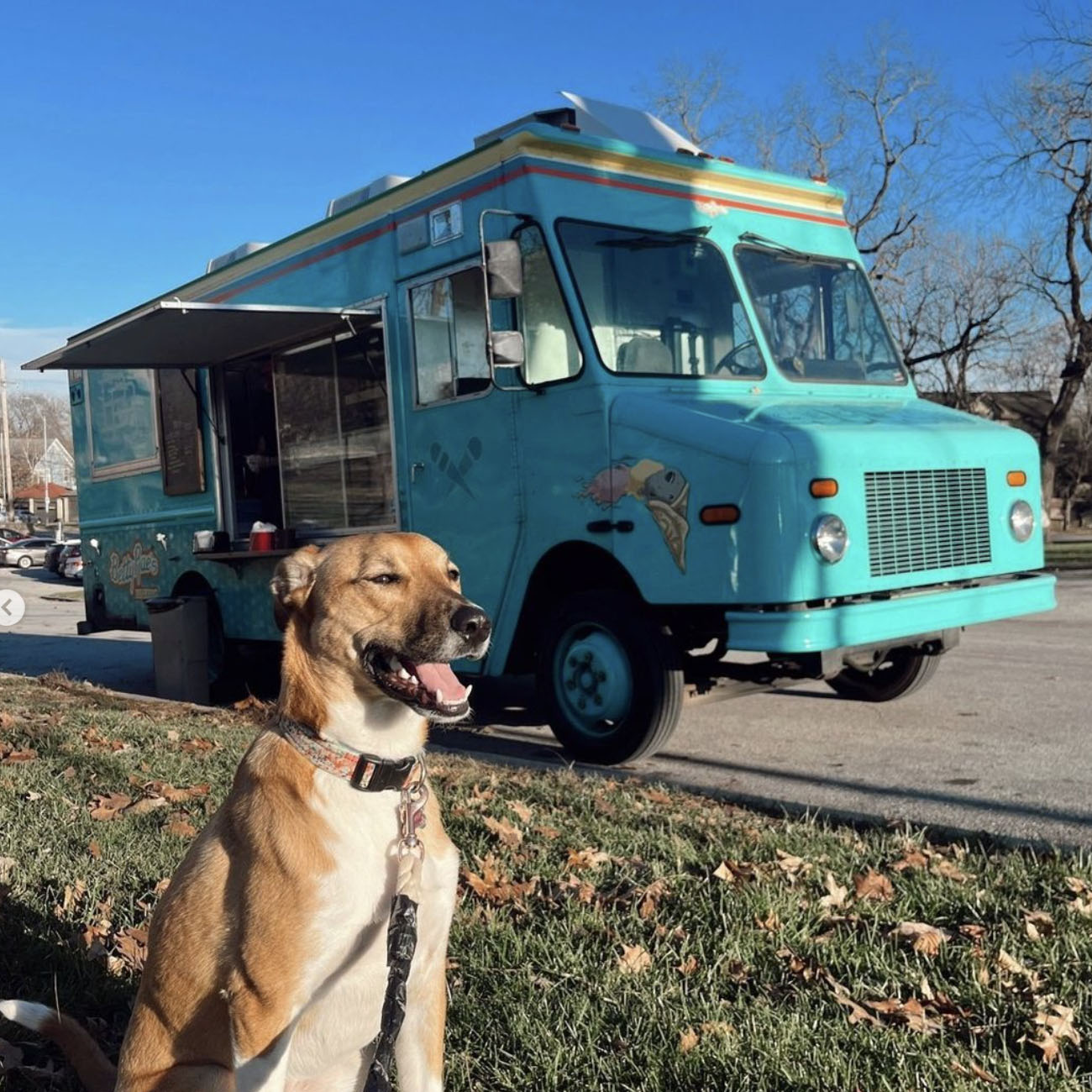 A happy dog sitting in front of a turquoise food truck parked on a sunny day with autumn leaves on the ground. A happy dog sitting in front of a turquoise food truck parked on a sunny day with autumn leaves on the ground.